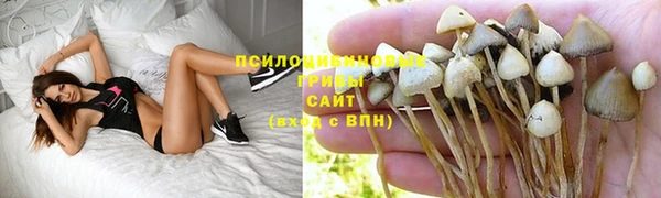 прущие крисы Армянск