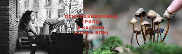 эйфоретик Аркадак