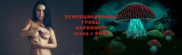прущие крисы Армянск