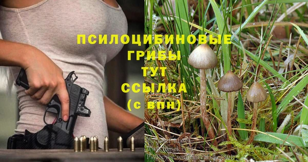 эйфоретик Аркадак