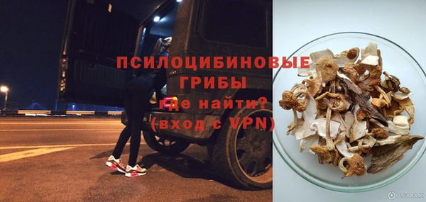 прущие крисы Армянск