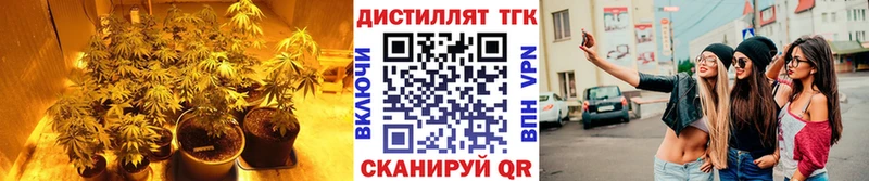 ТГК жижа  Купить  Новый Оскол 